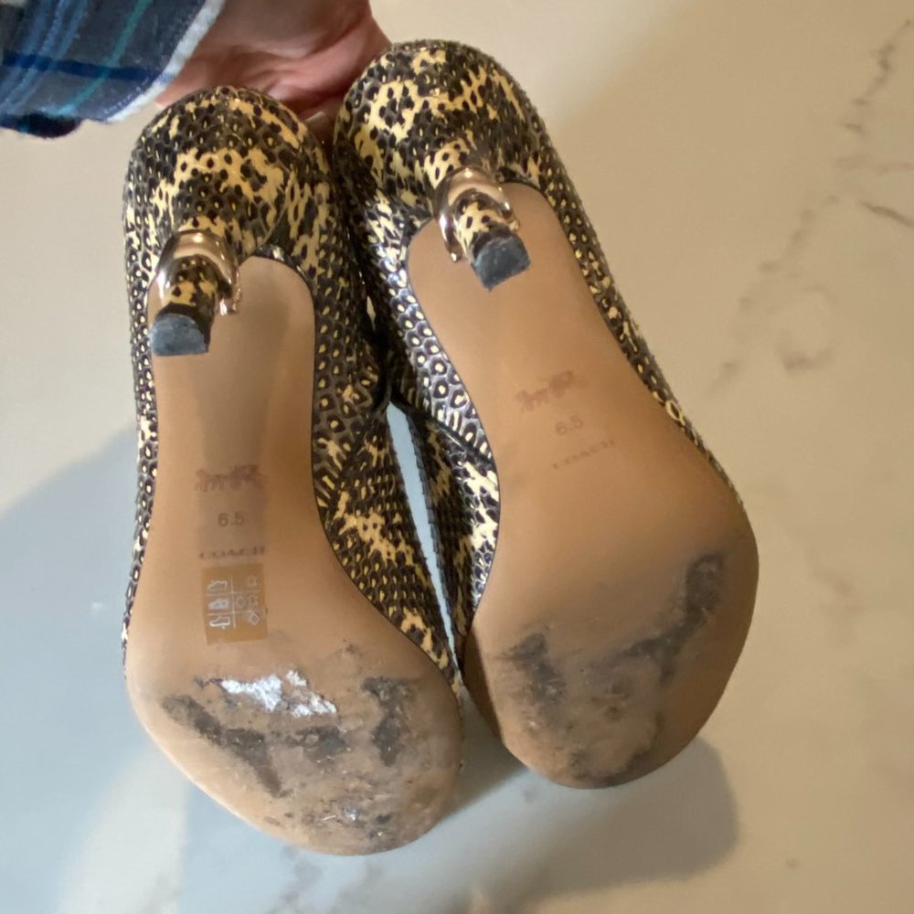 coach snake skin remi open toe booties - Picture 6 of 6